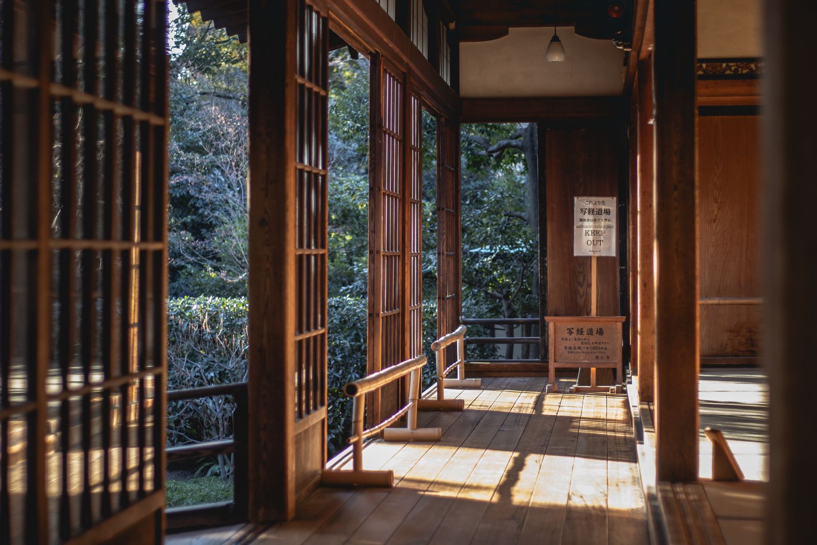 日の差し込む日本家屋の座敷